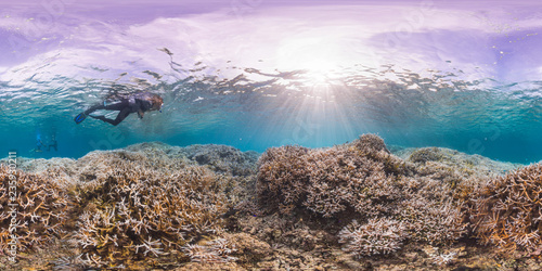 Snorkeler above bleaching coral