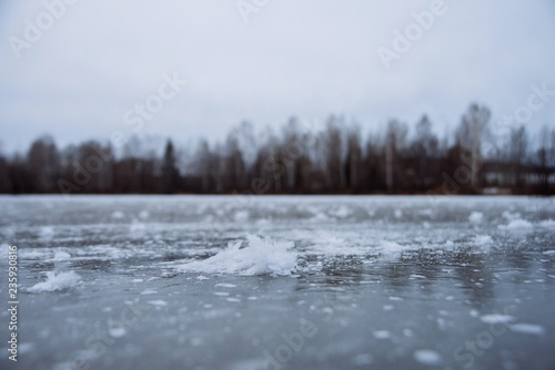 Unique natural phenomenon. Fancy ice on the surface of a frozen pond.