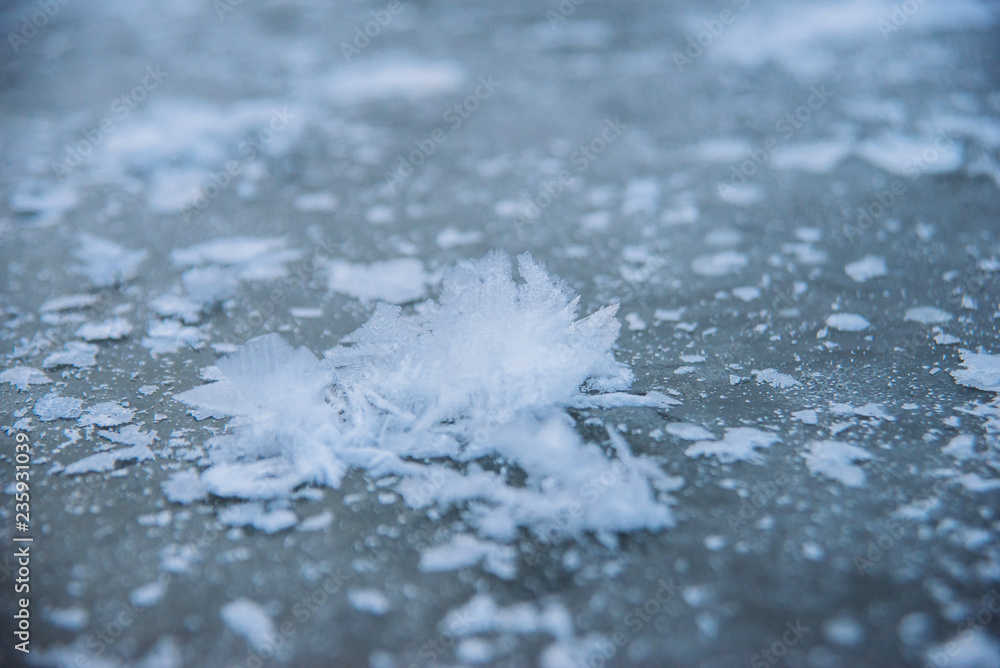 Unique natural phenomenon. Fancy ice on the surface of a frozen pond.