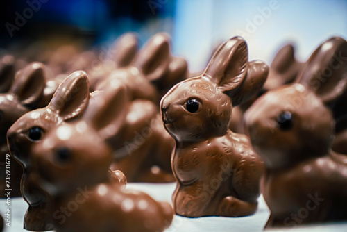 An assortment of chocolate bunnies