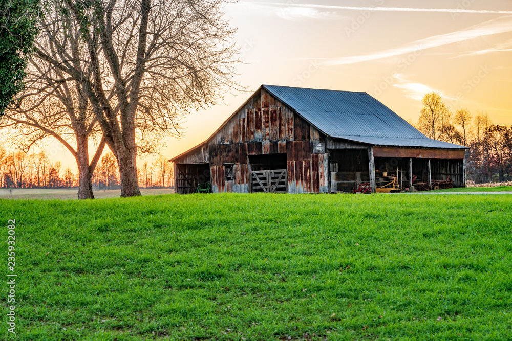 Obraz premium autumn in ky 