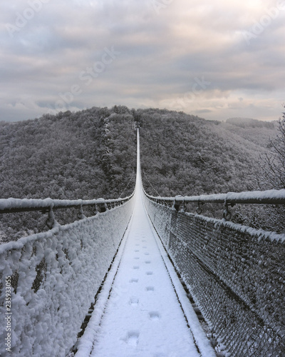 Suspension bridge coverd in snow