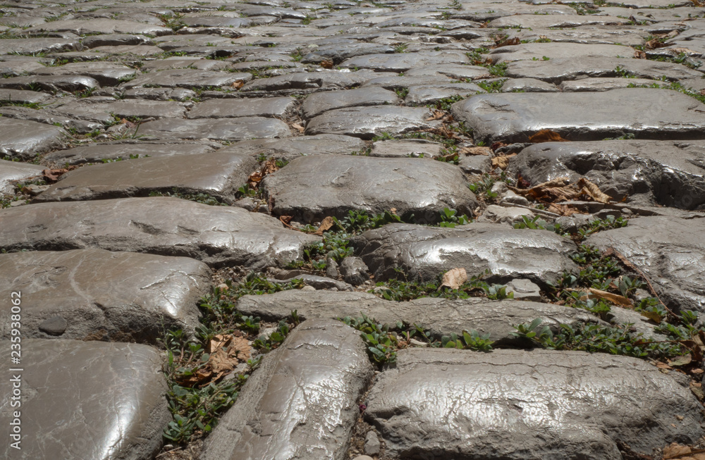 Old cobblestone path Old cobblestone path