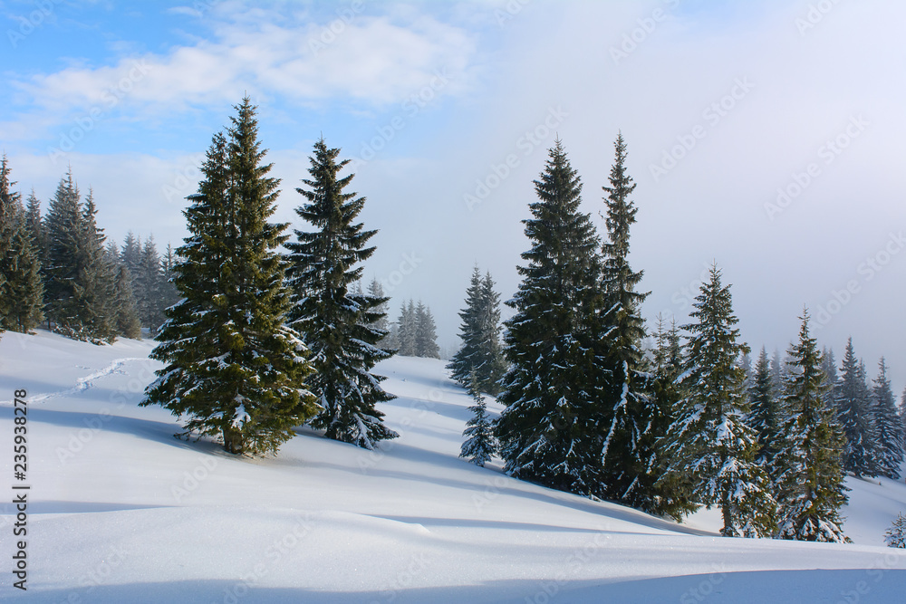 Frosty winter day in the mountains Frosty winter day in the mountains