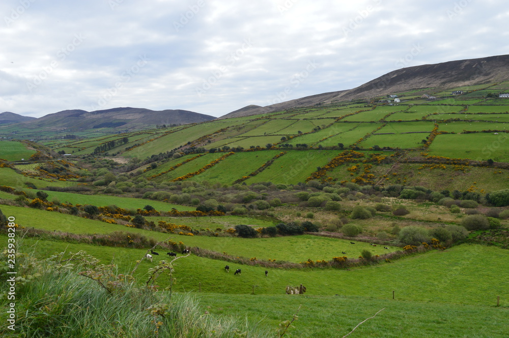 Typical Irish green landscape with fields, grass and hills