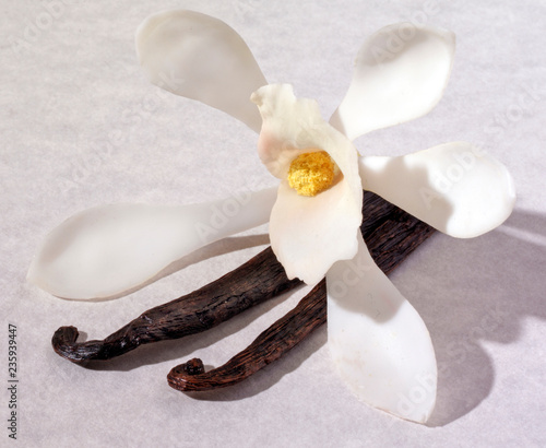 VANILLA PODS AND FLOWER ON WHITE photo