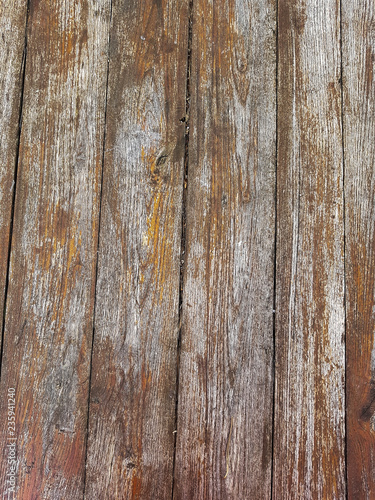 Wooden plank backdrop