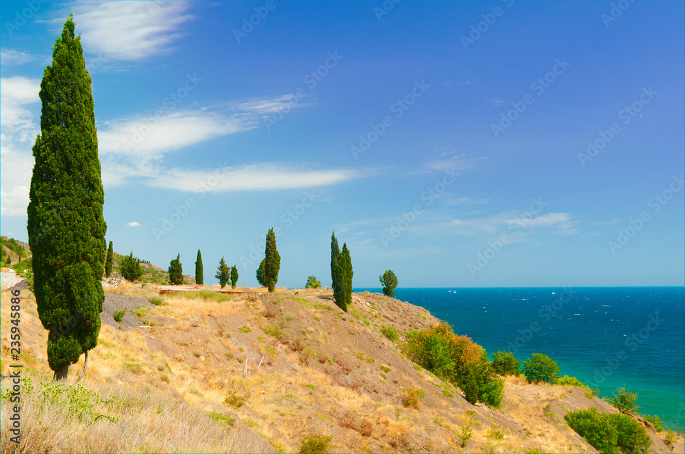 Cypress on the slope, descending to the sea