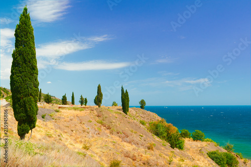 Cypress on the slope, descending to the sea photo