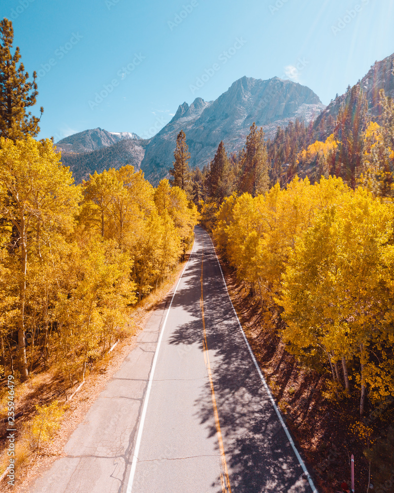 Empty road with colorful trees in autumn