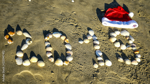 The New Year 2019 number with shells on sandy beach on holiday resort concept. photo