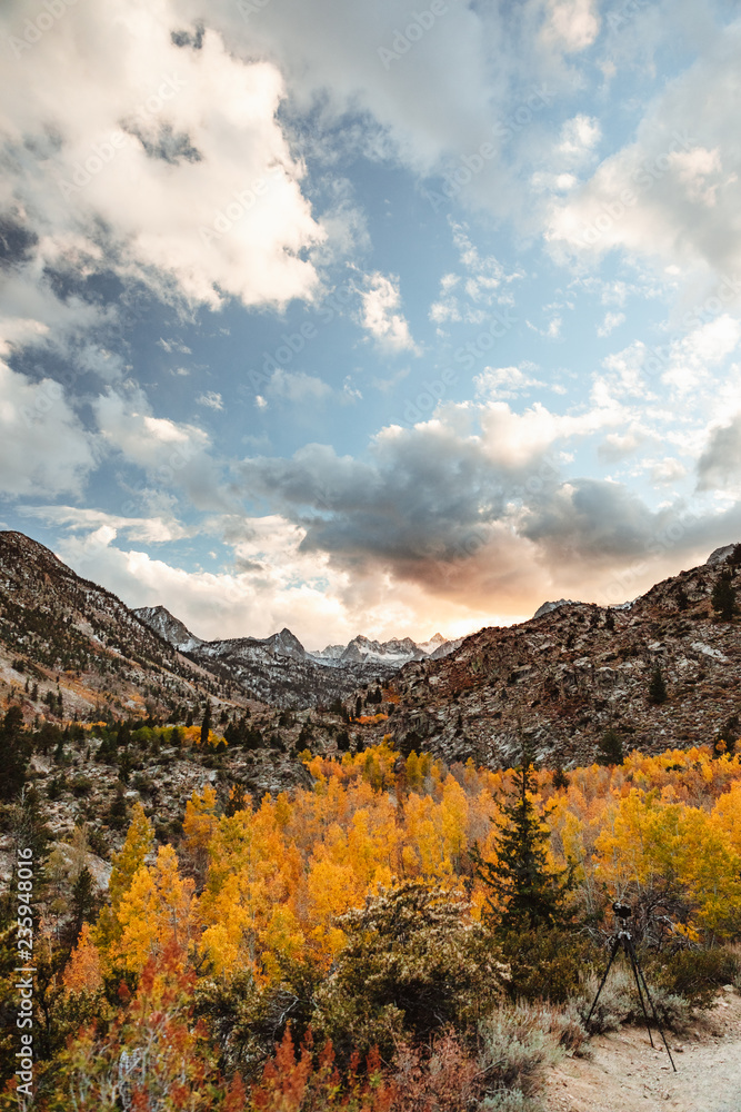 Colorful trees with snow covered mountains in the distance Colorful trees with snow covered mountains in the distance