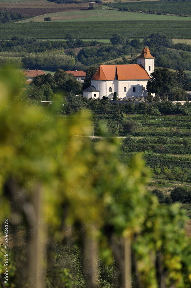 look at a church and vineyards