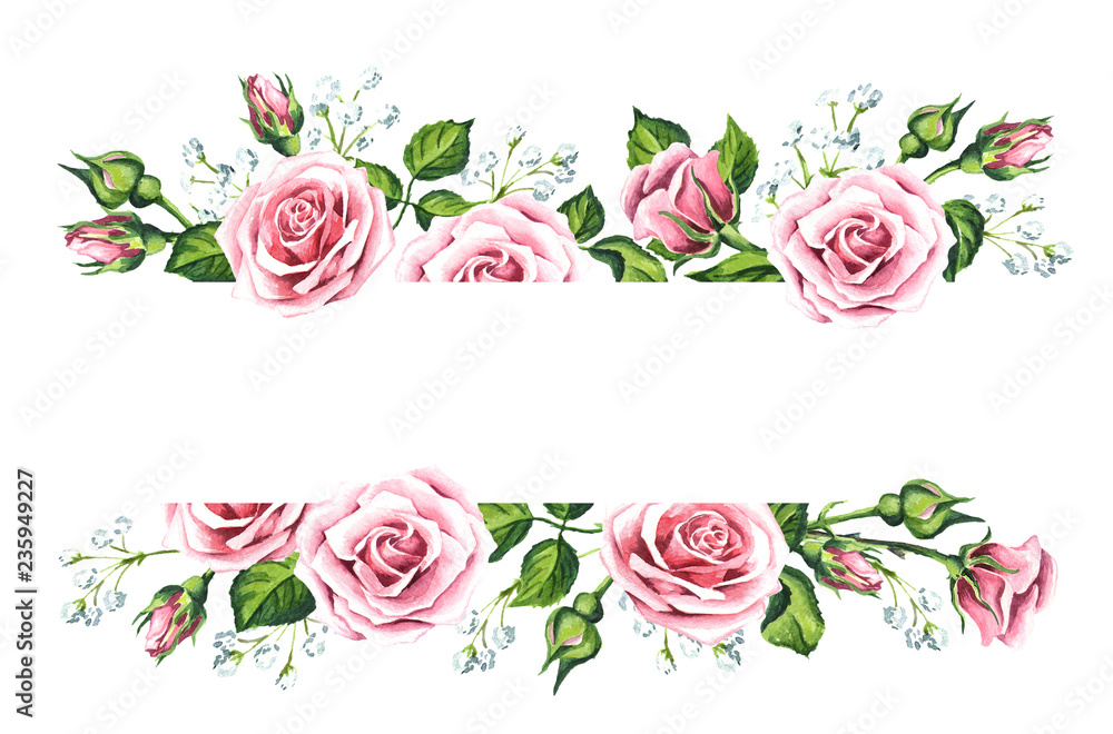 Pink rose flower and gypsophila background. Watercolor hand drawn isolated illustration