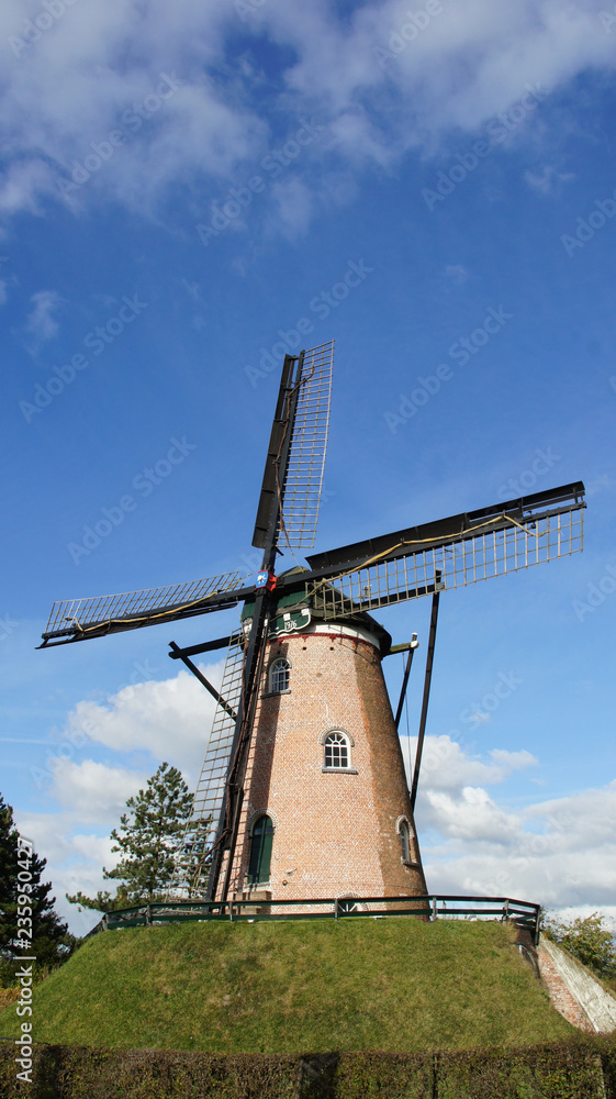 Windmühlen an der holländischen Küste