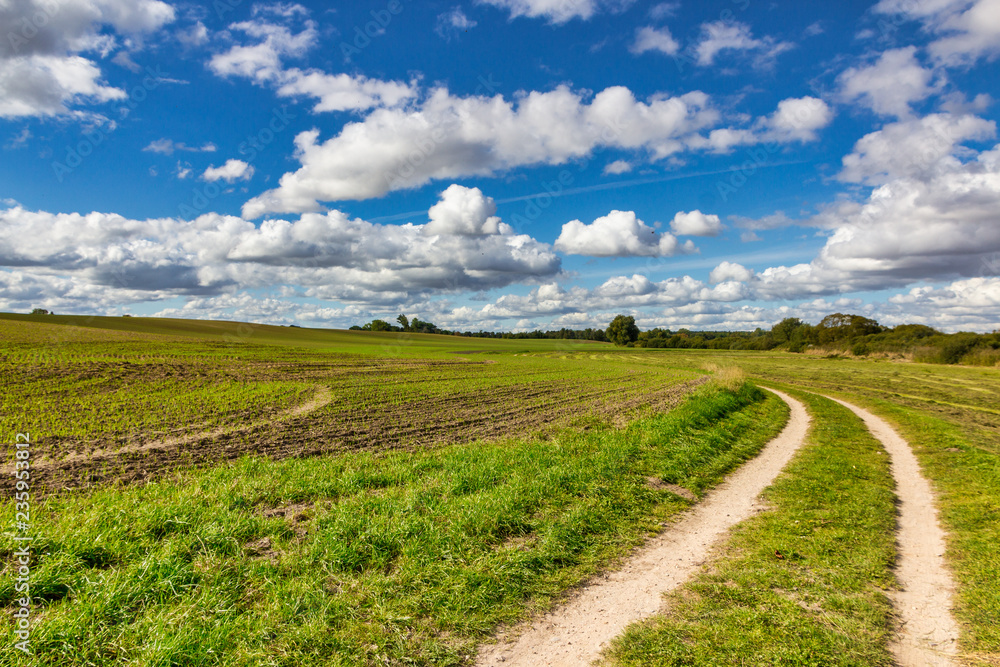 Feldweg Feldweg