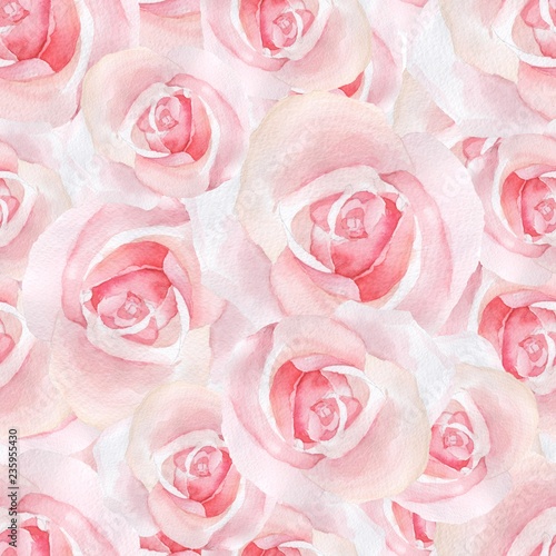 Fototapeta Pink delicate roses. Watercolor floral seamless pattern