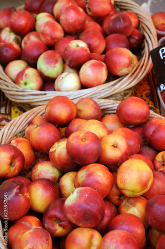 FRESH NECTARINES FOR SALE IN FRENCH MARKET