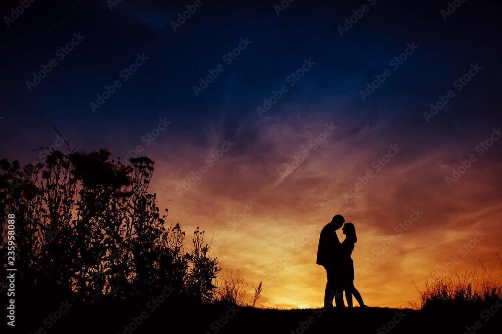 Silhouette of the bride and groom against nature Silhouette of the bride and groom against nature