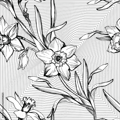 Floral  seamless patternwith hand drawn flowers Daffodils. Monochrome botanical elements on geometric background. For textile  fabric  wallpaper  packaging  interior design  greeting card design. 