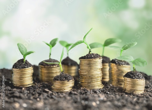 Coins in soil with young plants on blurred background