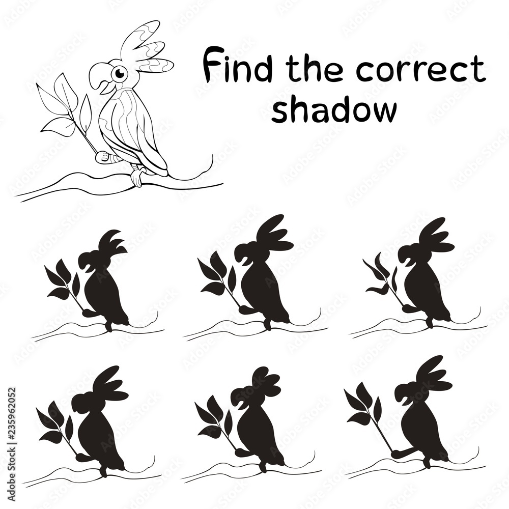 Find the correct shadow, children`s educational game, silhouette of parrot Find the correct shadow, children`s educational game, silhouette of parrot