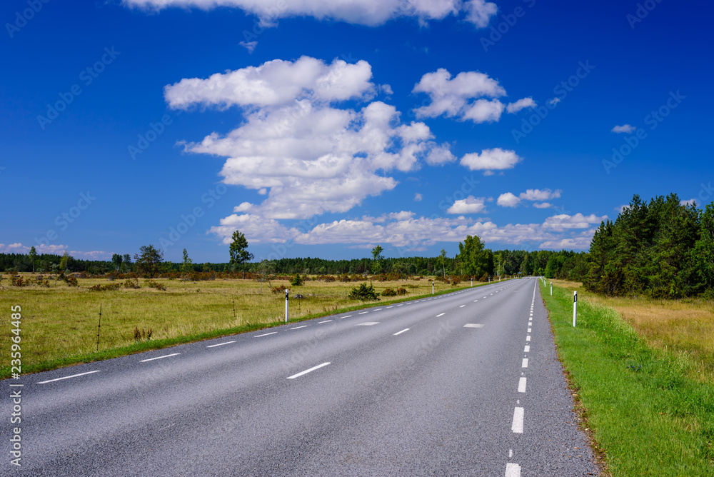 Asphalt road on the background of blue sky with clouds. Typical landscape of Hiiumaa island, Estonia