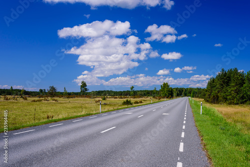 Asphalt road on the background of blue sky with clouds. Typical landscape of Hiiumaa island  Estonia