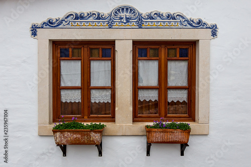 Two Beautiful Windows With a Rectangular Plants Vase