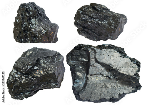 Four pieces of coal