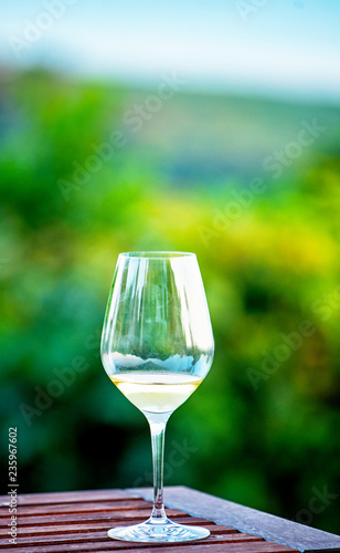 White wine on the table in the garden