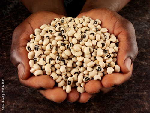 MAN'S HANDS HOLDING BLACK EYED BEANS