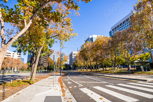 Photography Street lined up with Sycamore trees close to downtown San Jose; office buildings