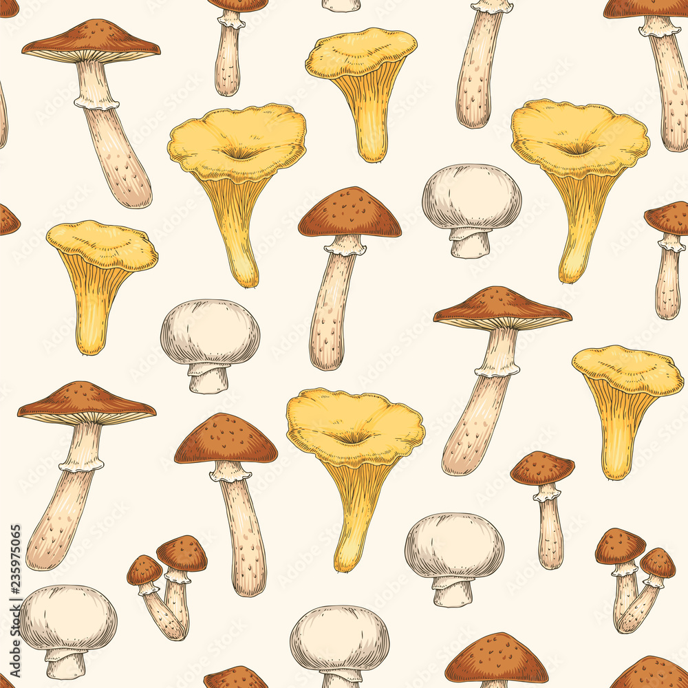 Naklejka Seamless Pattern with Edible Mushroom
