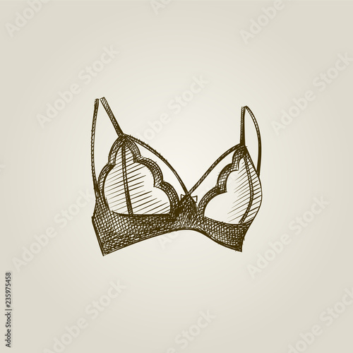 Hand Drawn Women's Bra Sketch Symbol isolated on background. Vector lacy bra In vintage Style. Woman's underwear hand drawing sketches elements