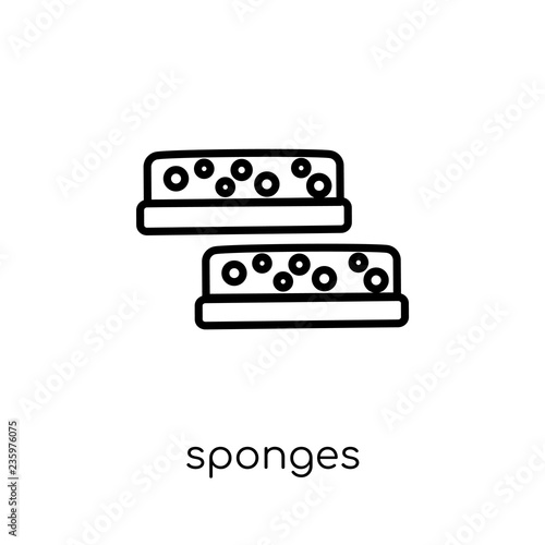 Sponges icon. Trendy modern flat linear vector Sponges icon on white background from thin line Cleaning collection