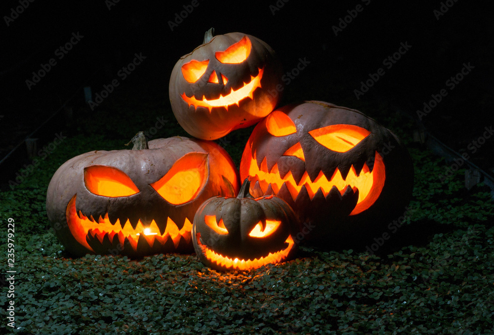 Fototapeta premium Group of evil pumpkins