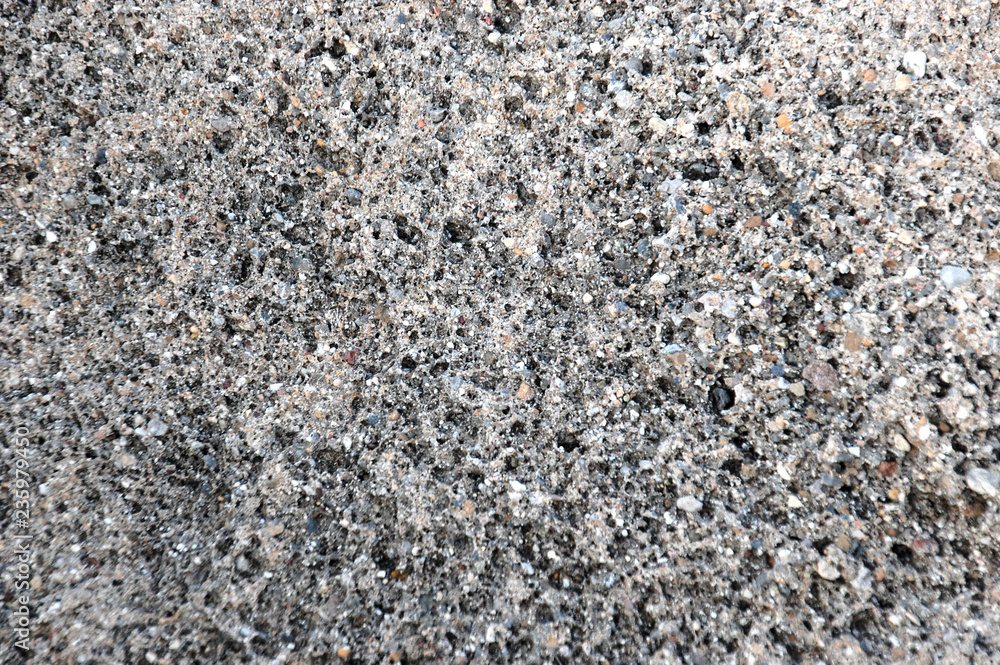 Surface gray natural stone with veined shells light base texture Surface gray natural stone with veined shells light base texture