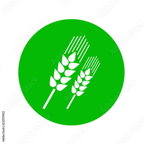 Icono plano espigas de cereales en diagonal en círculo verde