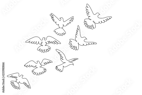 Pigeons fly. Line drawing. A flock of flying birds.