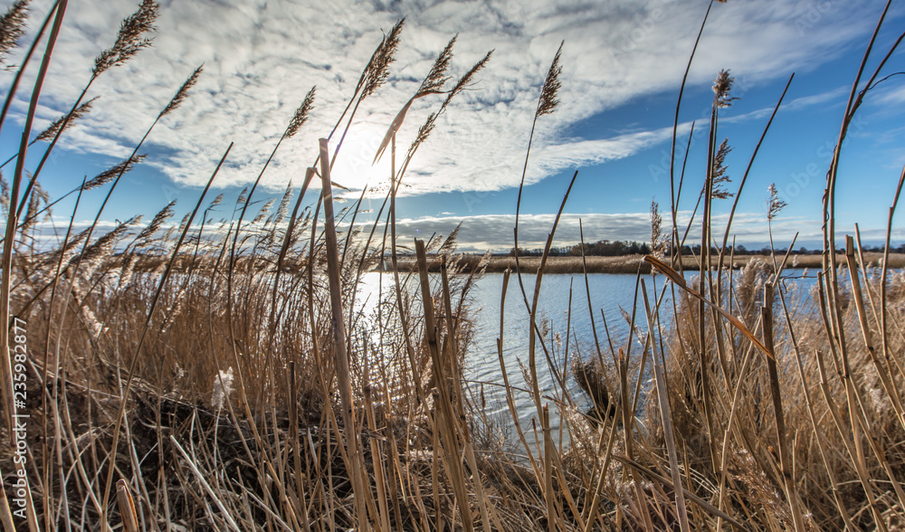 Fototapeta premium wasserlandschaft