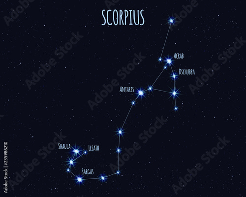 Scorpius (The Scorpion) constellation, vector illustration with the names of basic stars against the starry sky