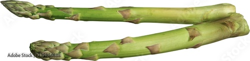 Fresh Asparagus - Isolated