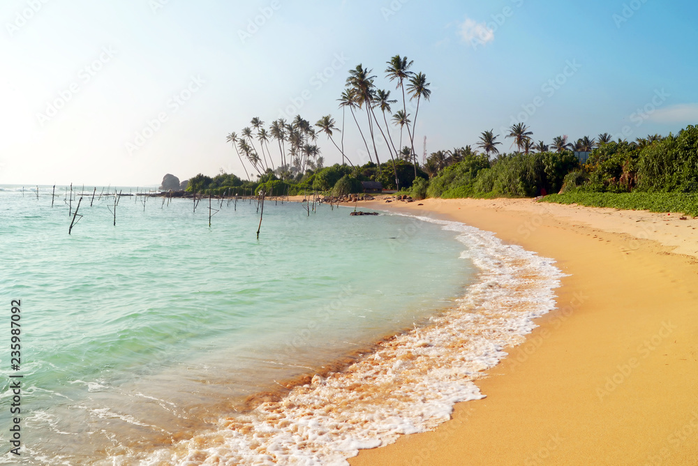 
Perfect tropical beach with palm trees. Sri Lanka