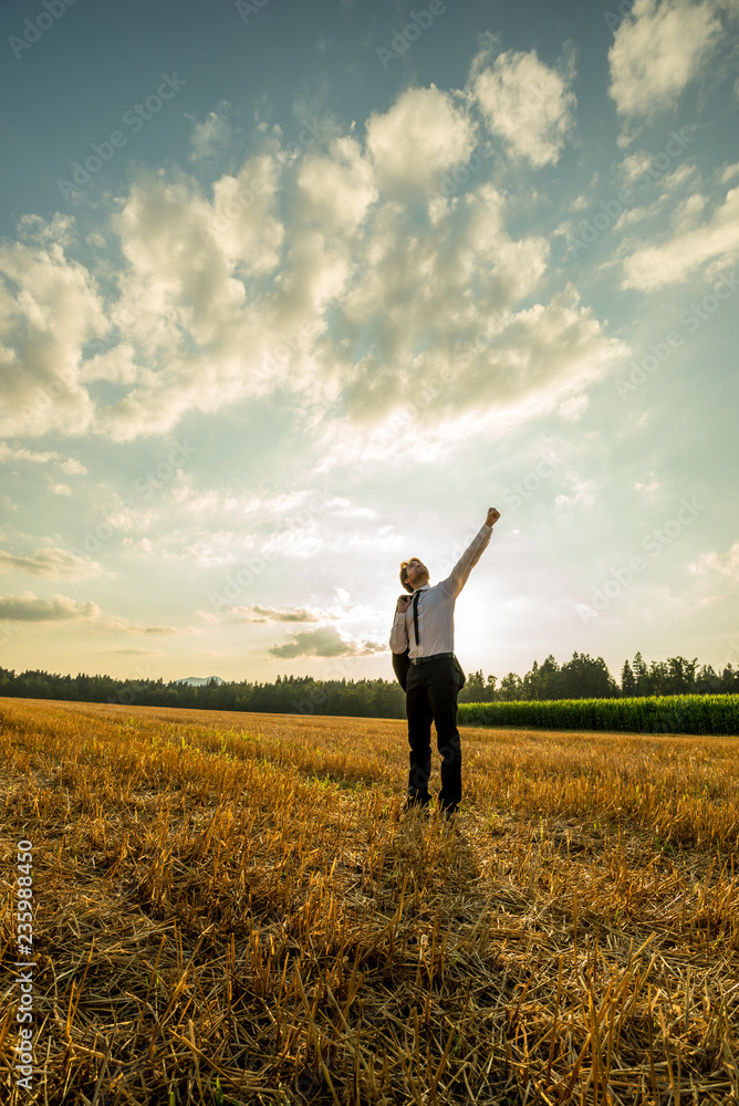 Businessman with one arm raised up high in success Businessman with one arm raised up high in success