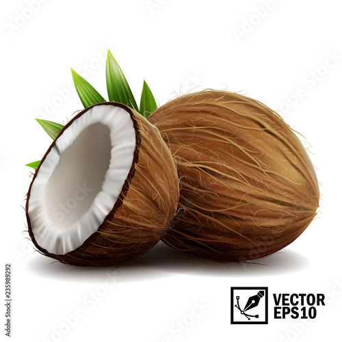 3D realistic isolated vector set of whole coconut, coconut halves and palm leaves