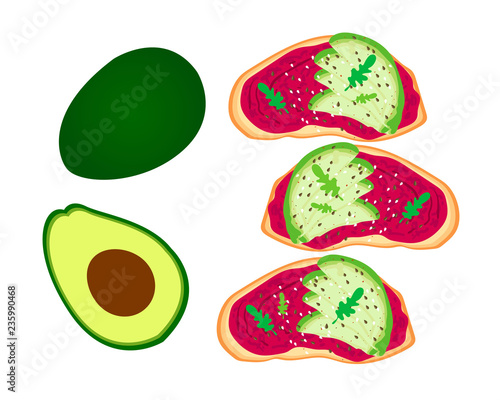 Avocado toast. Sliced avocado on toast bread with spices. Delicious avocado sandwich with sesame seeds, seasoning and dill. Vector illustration.