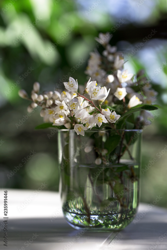spring or summer flower in a glass jar on the green garden background. Glass jar with beautiful flower on a white table. Use for interior design or background concept. spring or summer flower in a glass jar on the green garden background. Glass jar with beautiful flower on a white table. Use for interior design or background concept.