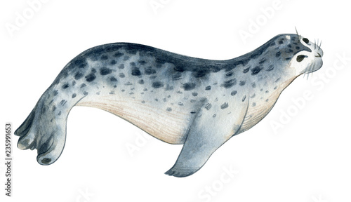 Obraz na plátně Watercolor illustration isolated on white background