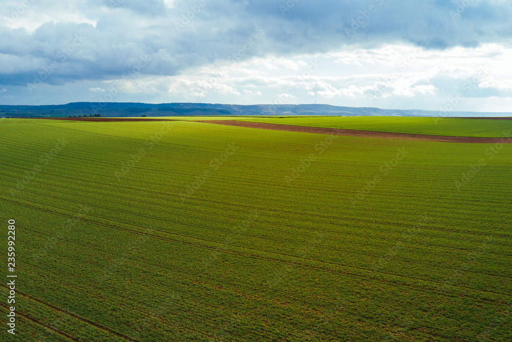 Green Landscape